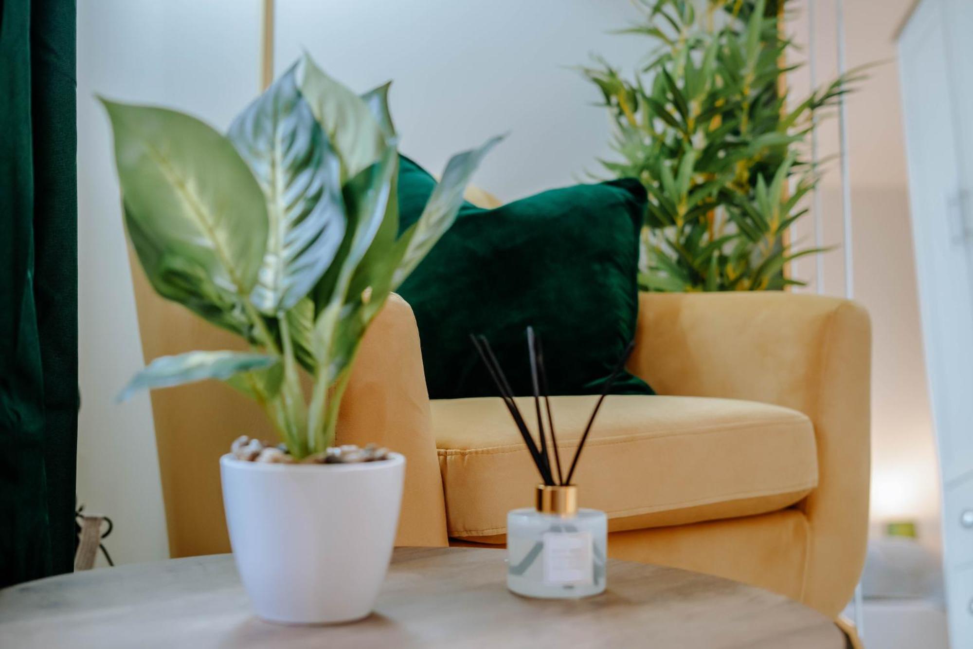 Mayfield Two - Central Harrogate Apartment מראה חיצוני תמונה